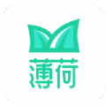 薄荷下载 v1.0.0