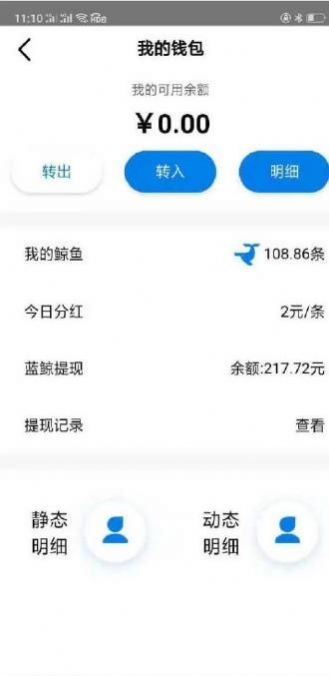 男男篮鲸