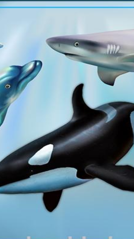 海洋生物运输卡车