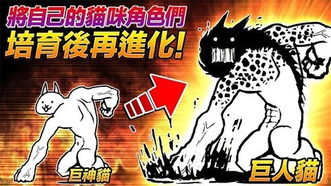 猫咪大战争无限罐头版 猫咪大战争无限罐头版