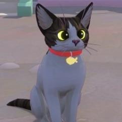 小猫咪大城市定制小猫MOD v1.0