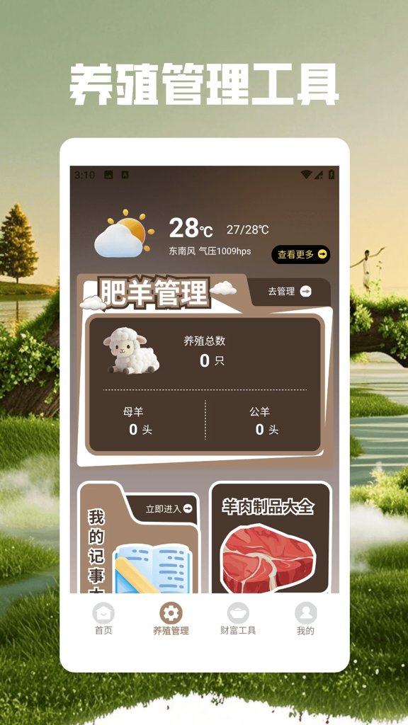 抓一只羊 抓一只羊