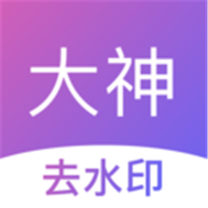 大神去水印 v2.3.4
