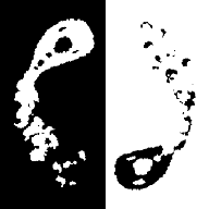 Yin Yang Fish(阴阳鱼游戏) 1.0.2