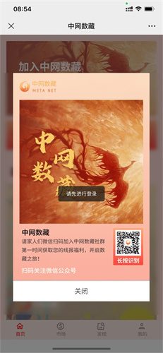 中网数藏