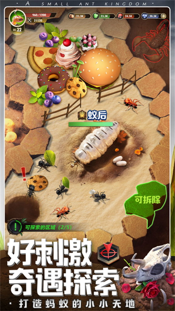 昆虫星球 昆虫星球