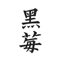 黑莓浏览器 v2.0.1