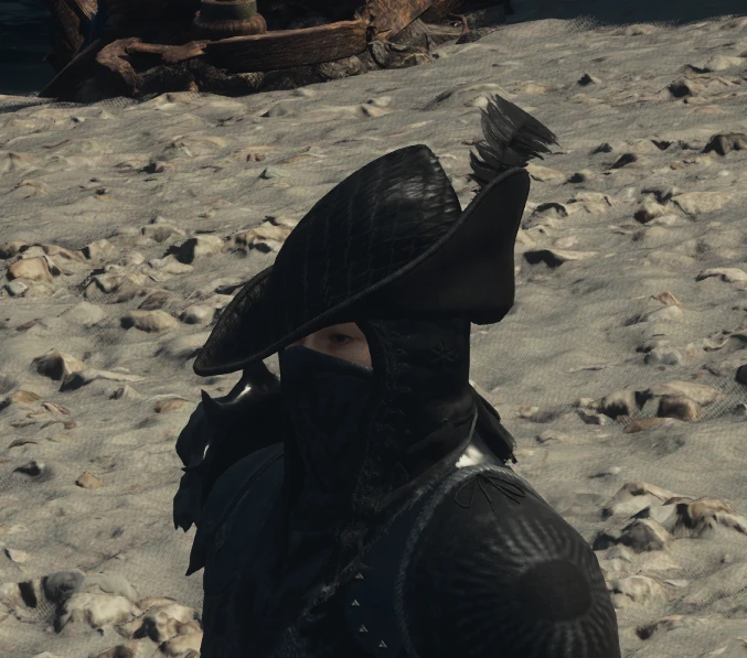 龙之信条2黑色骑士服装MOD