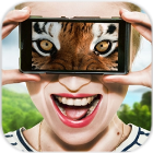 Vision animal simulator(所有动物视觉模拟器无限金币钻石版) 1.2