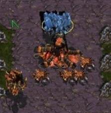 星际争霸富矿地图包MOD v1.0
