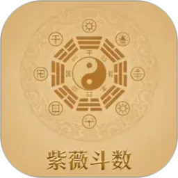 紫微斗数八字排盘 1.2.1