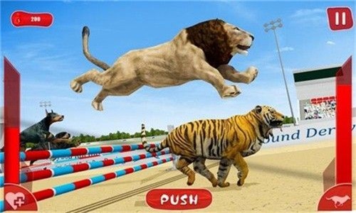 狮子赛跑3D 狮子赛跑3D