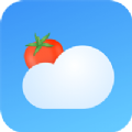 番茄天气 v2.0.0