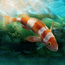 水族设计师 1.0.0