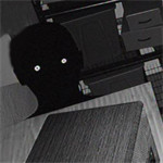 密室监禁2官网版 1.0