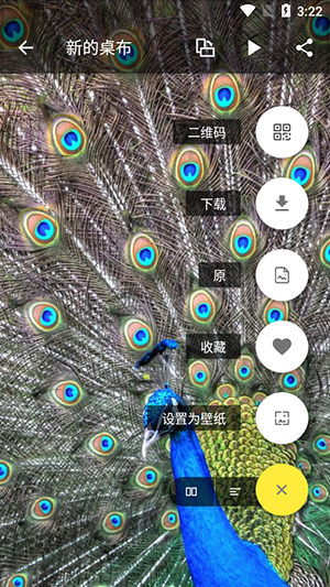 7fon壁纸