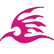 飞极速 v1.0.0