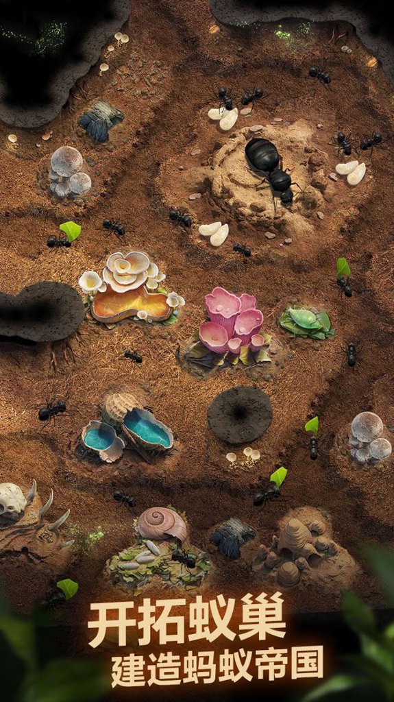 Planet Ant(蚂蚁星球) Planet Ant(蚂蚁星球)