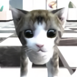 猫咪在密室 0.13