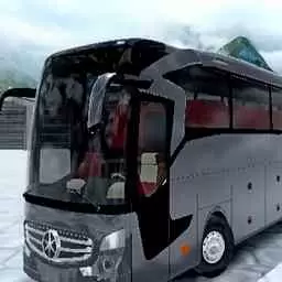 专业巴士模拟器2020 1.0