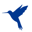 HttpCanary(高级版) 4.8.6