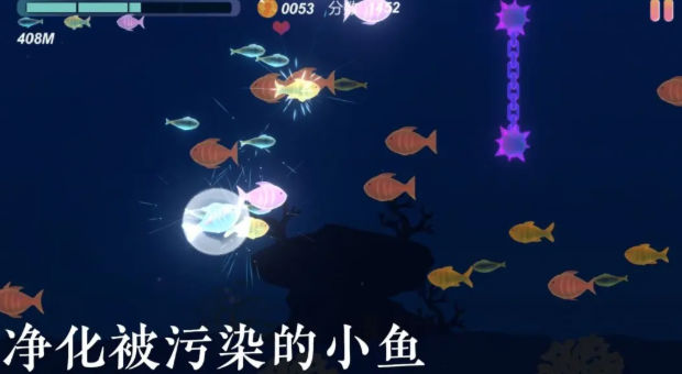 小鱼 小鱼