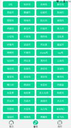 夹音盒1.0小飞棍来咯