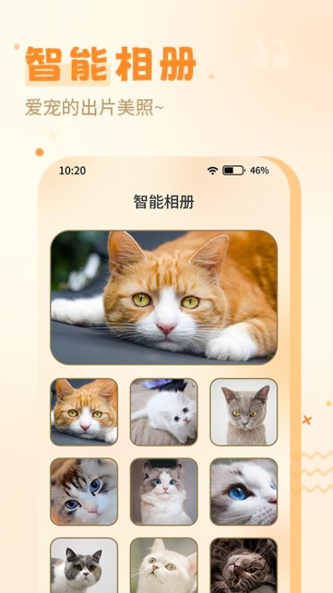 喵人猫语