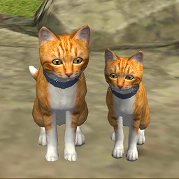 可爱小猫模拟器 1.0.3