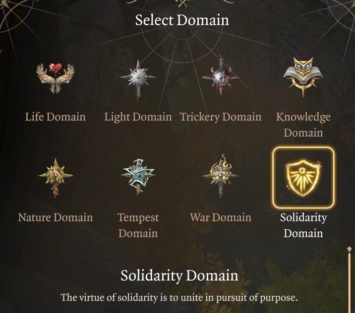 博德之门3新增职业团结领域MOD