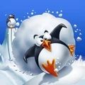 南极救援 1.0.5