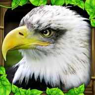 老鹰模拟器2中文版（Eagle Sim） 1.2