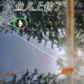极限钓鱼大师单机版 v1.0