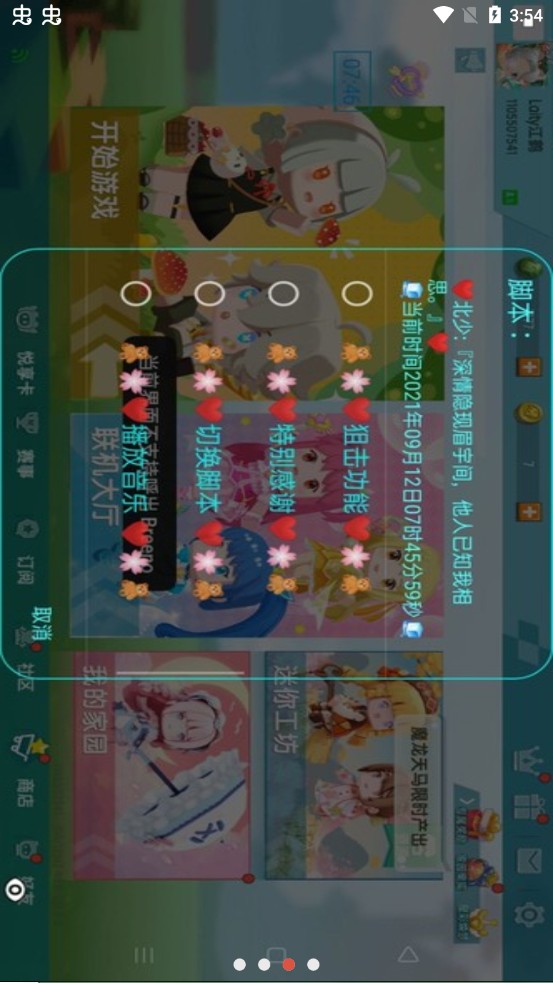 凉情辅助pro