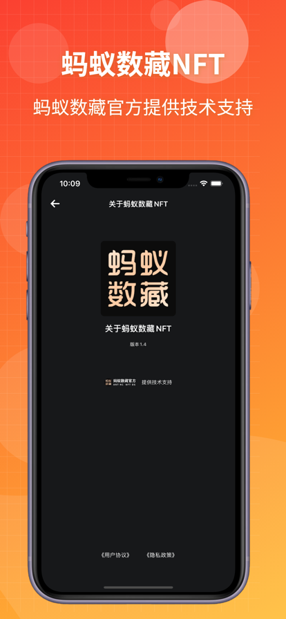 蚂蚁数藏