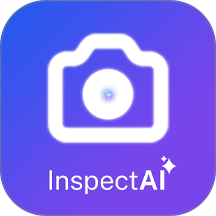 InspectAI官网版 1.0.0