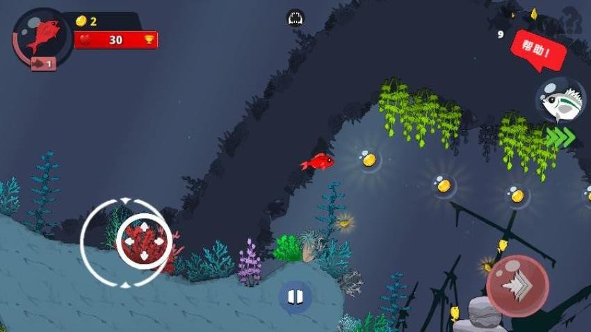 海洋大探险 海洋大探险