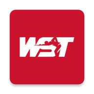 wstsnooker19（World Snooker Tour） 1.0.1