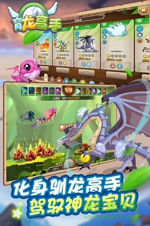 育龙高手 育龙高手
