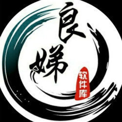 良娣团队软件 v10.8.4