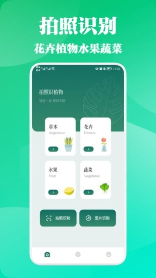 三叶草