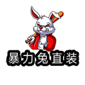 暴力兔容器