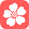 樱花视频编辑 v1.1