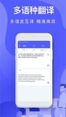 中译英翻译在线