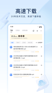 迅雷绿色版