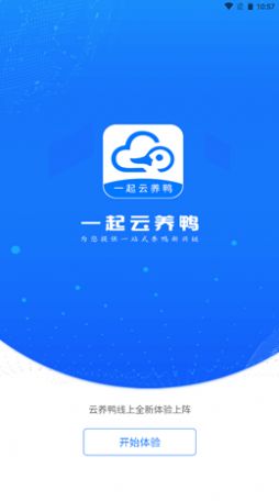 一起云养鸭