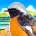 鳥パラダイス 1.0.0