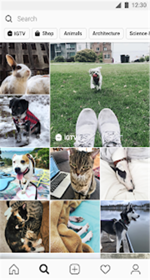 instagram下载安装官网 instagram下载安装官网