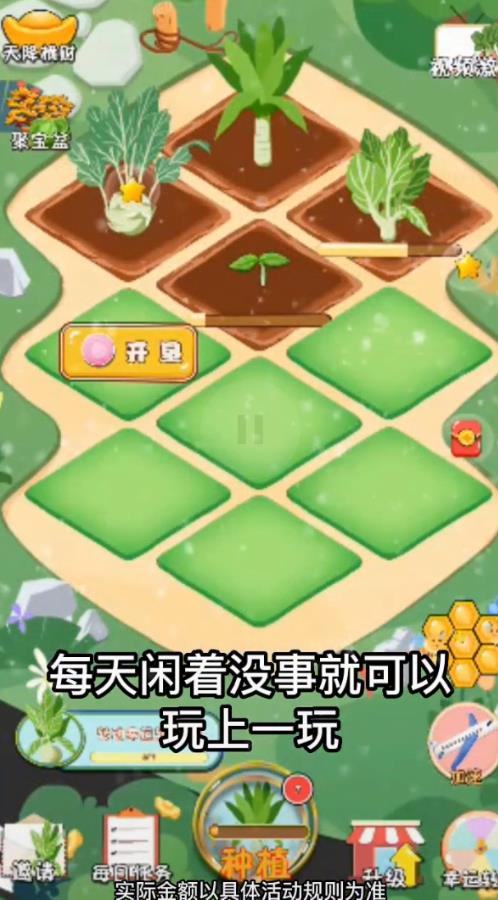 大头菜农场-喜得红包