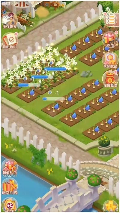 恋与花园